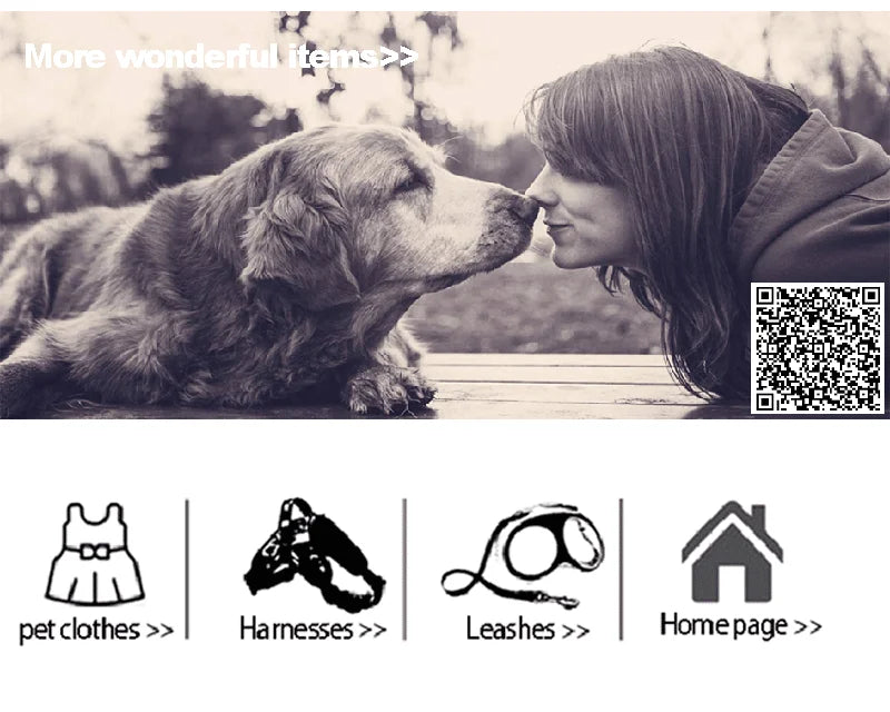 The dog Face - Chubasquero