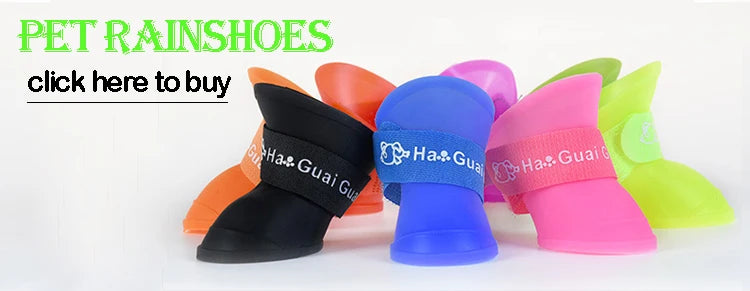 The dog Face - Chubasquero